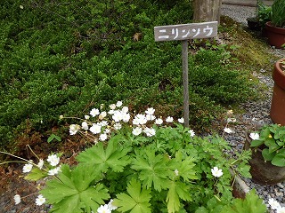 S-関西花の寺 S-関西花の寺