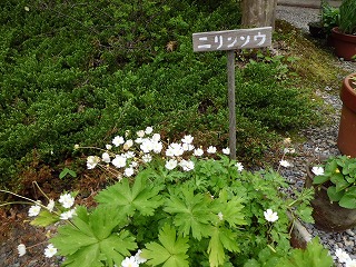 S-関西花の寺