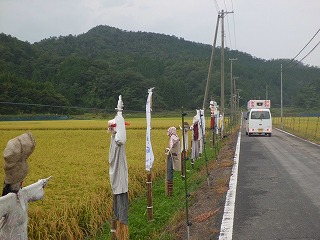 S-９．５久美浜かかし