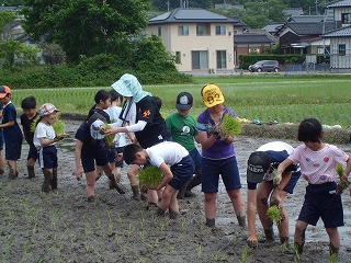 S-527田植え